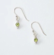 Small Turquoise Stone Dangle Earrings