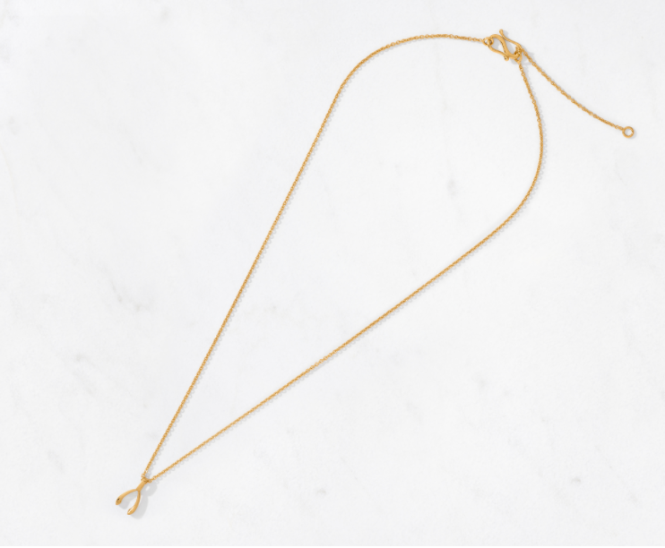 Wishbone Pendant & Chain Small/Polished