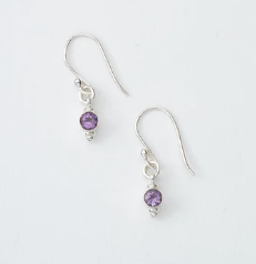 Small Turquoise Stone Dangle Earrings