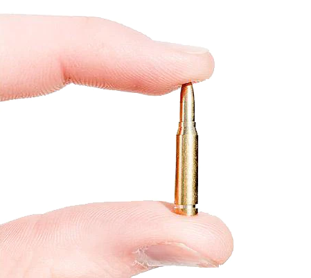 .50 Cal Dummy Rounds