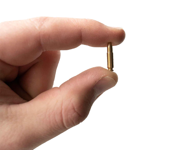 .50 Cal Dummy Rounds