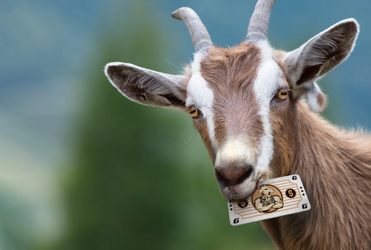 GOATGUNS Gift Card