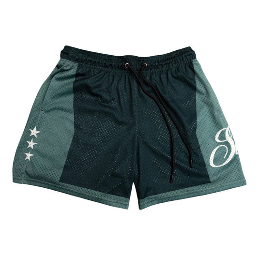 SLAM Script Shorts