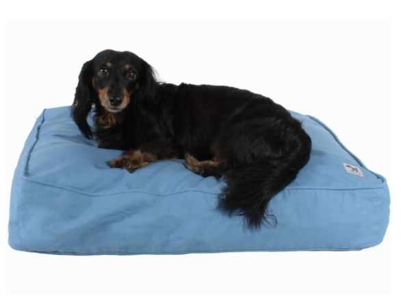 caribbean blue dog bed