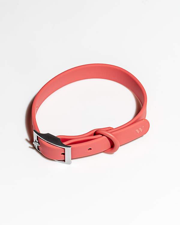 Collar
