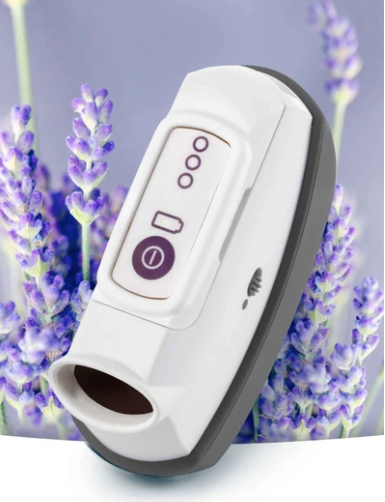 CalmiGo - Smart Calming Companion