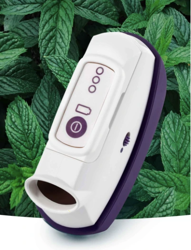 CalmiGo - Smart Calming Companion