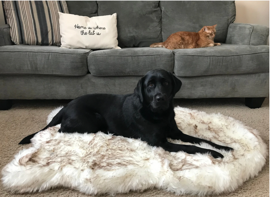 PupRug™ Faux Fur Orthopedic Dog Bed - Curve