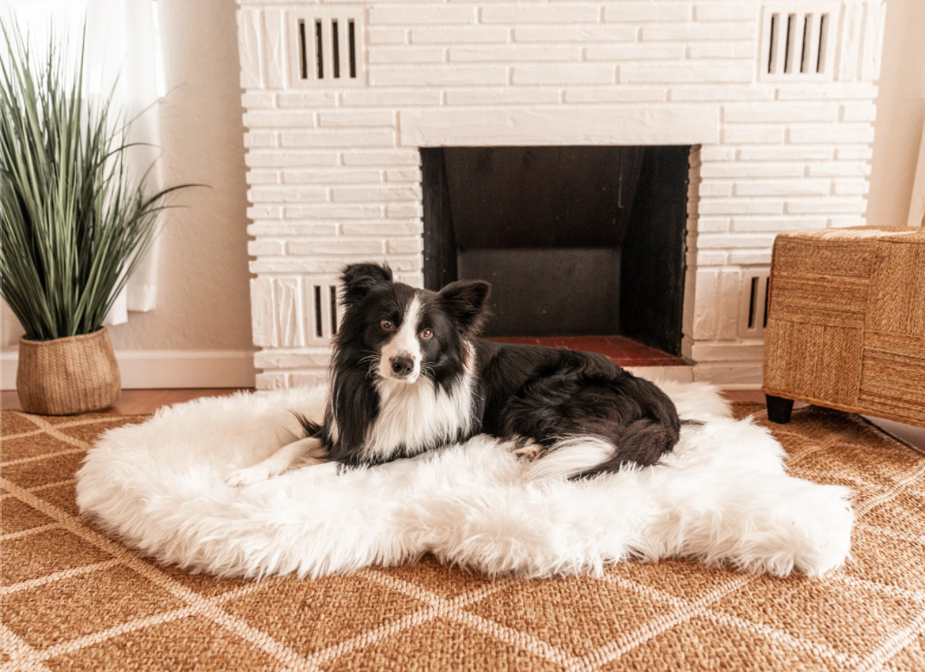 PupRug™ Faux Fur Orthopedic Dog Bed - Curve