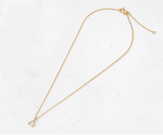 Wishbone Pendant & Chain Small/Polished