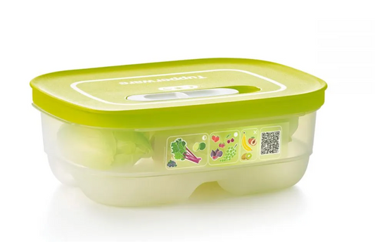 FridgeSmart® Small