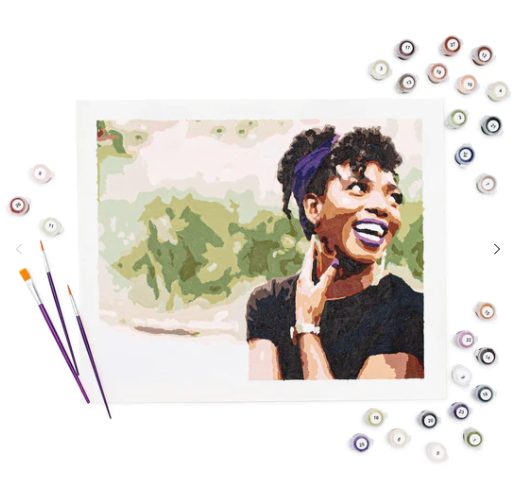 Custom Paint by Number Kit - 16 x 20