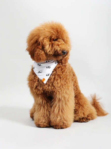 Pawkerchiefs