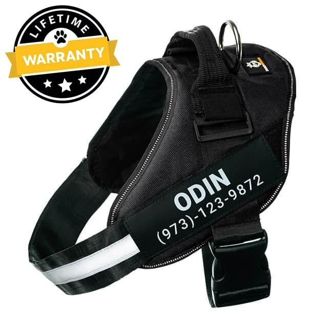 Lifetime Warranty Personalized Doggykingdom® NO PULL Harness