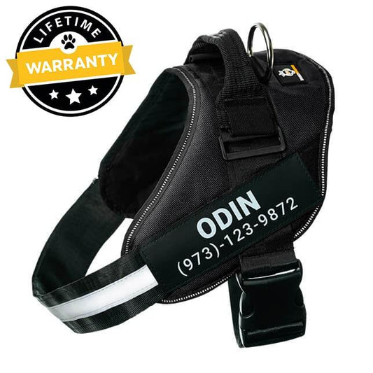 Lifetime Warranty Personalized Doggykingdom® NO PULL Harness