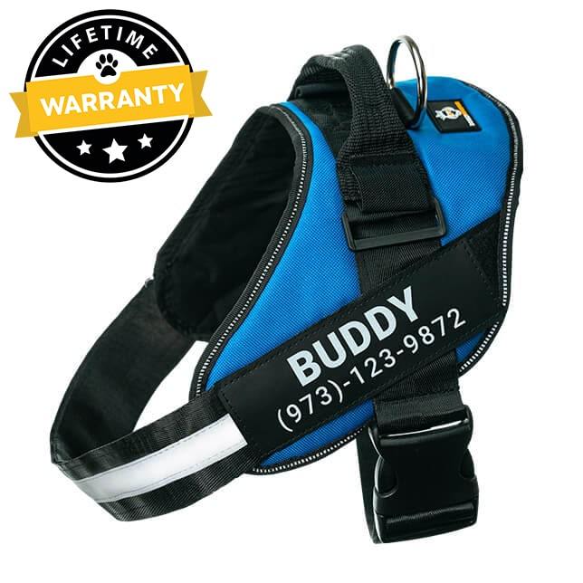 Lifetime Warranty Personalized Doggykingdom® NO PULL Harness