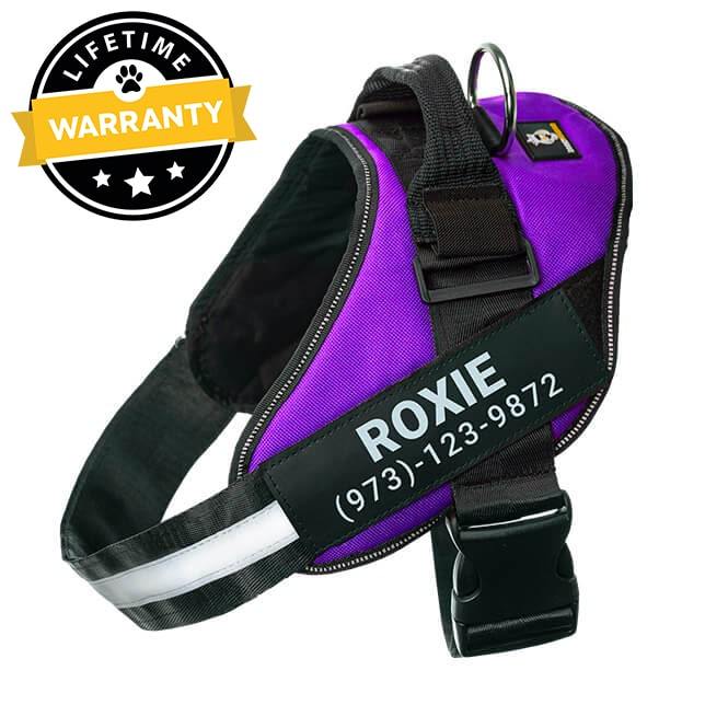 Lifetime Warranty Personalized Doggykingdom® NO PULL Harness