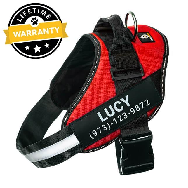 Lifetime Warranty Personalized Doggykingdom® NO PULL Harness