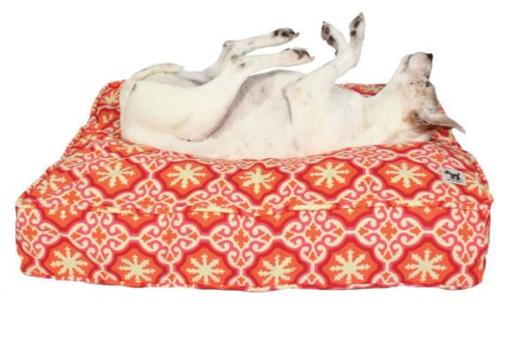 the molly mutt bed